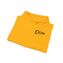 Load image into Gallery viewer, Dueling Violins hoodie with bows down both arms
