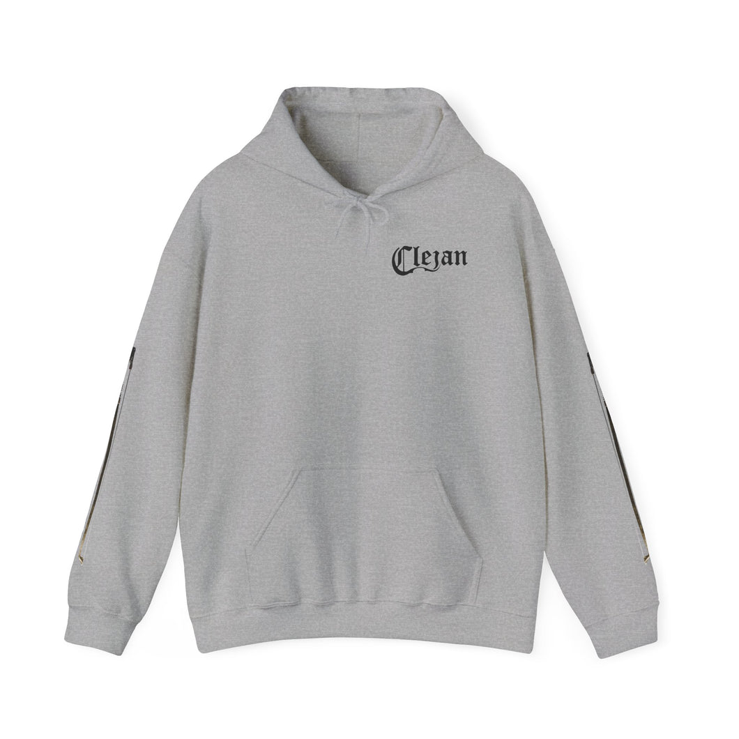 Dueling Violins hoodie with bows down both arms