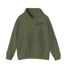 Load image into Gallery viewer, Dueling Violins hoodie with bows down both arms
