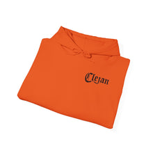Load image into Gallery viewer, Dueling Violins hoodie with bows down both arms
