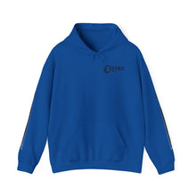 Load image into Gallery viewer, Dueling Violins hoodie with bows down both arms
