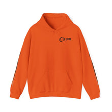 Load image into Gallery viewer, Dueling Violins hoodie with bows down both arms
