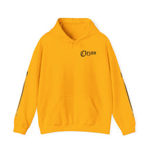 Load image into Gallery viewer, Dueling Violins hoodie with bows down both arms

